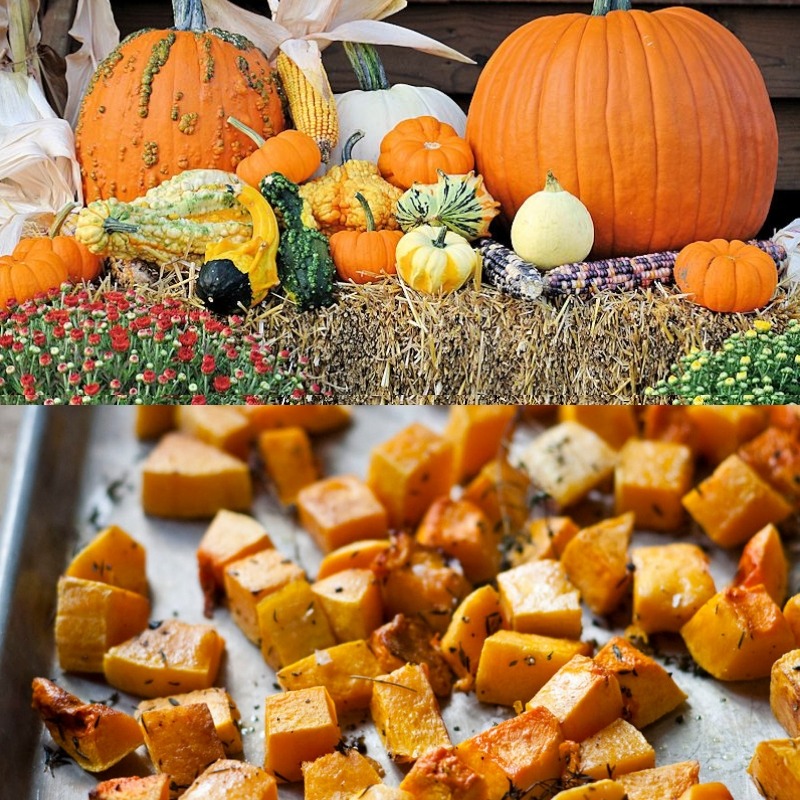 With weather turning cooler, we like to spruce up our homes with fall decorations of pumpkins and squash but did you know that these fall vegetables are good to eat?