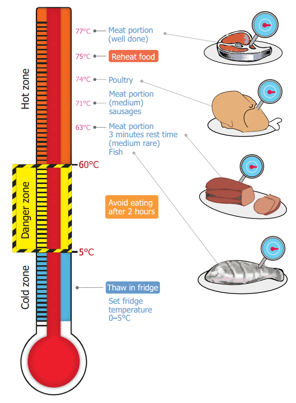 Types of Meat Thermometers and their Role In Food Safety