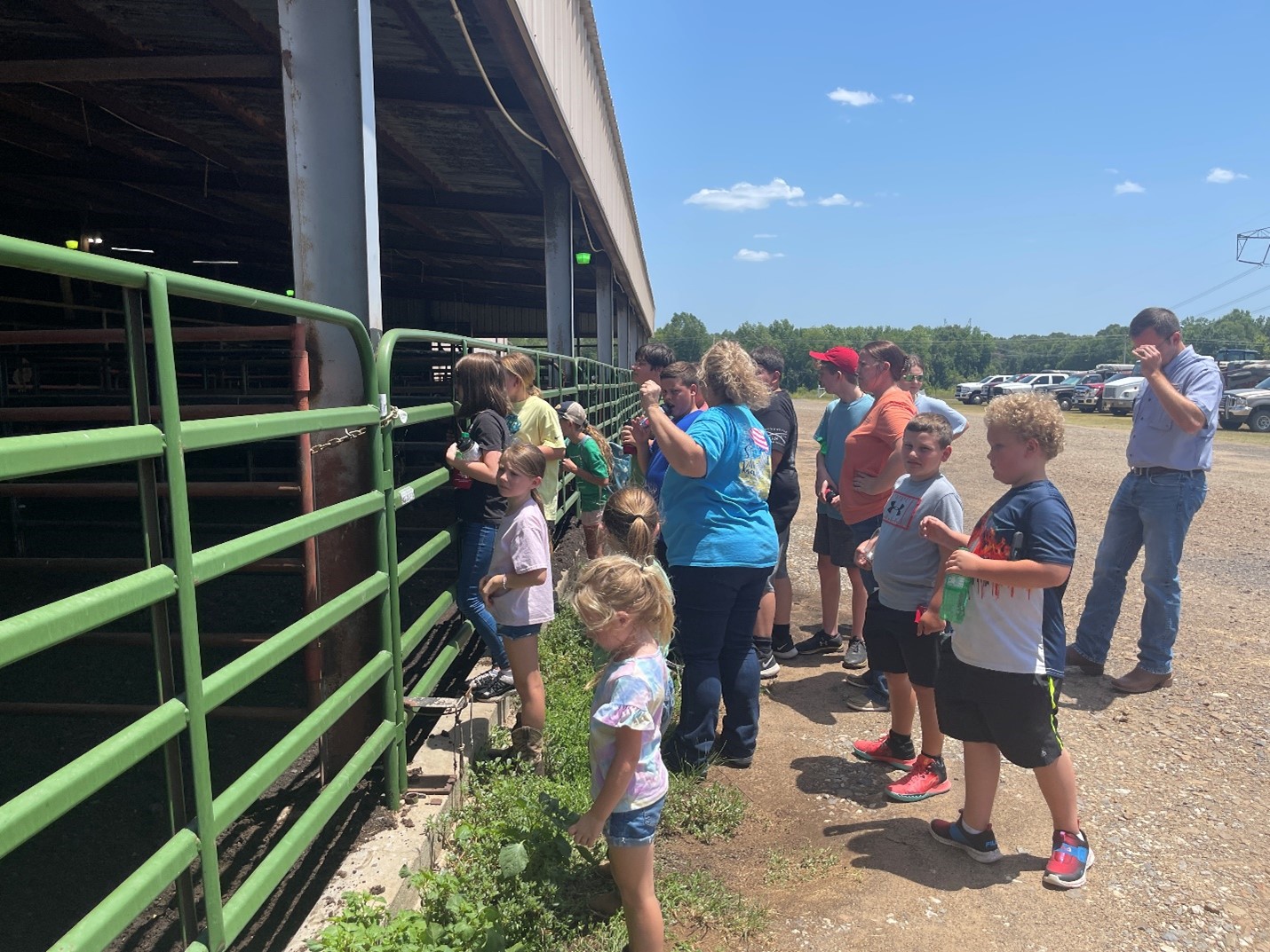 Ouachita Livestock Market Picture of children with an adult looking over a green gate.