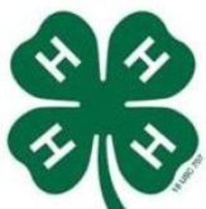 4-H Logo