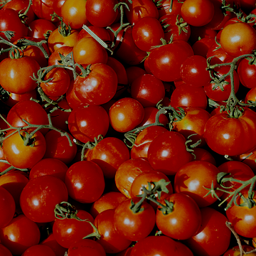 Tomatoes