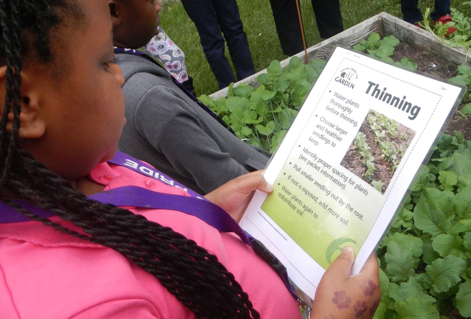 Student thinning vegetable seedlings 