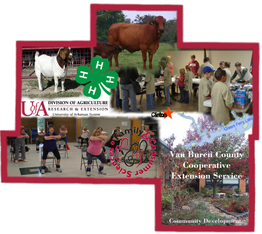 Van Buren County, Arkansas - Agriculture, 4-H, One Day of Service, Strong Women & Men, Master Gardener