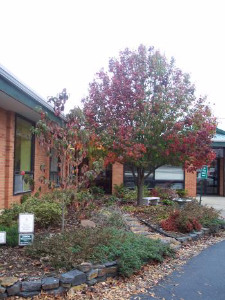 Master Gardener bed at the County Annex Building