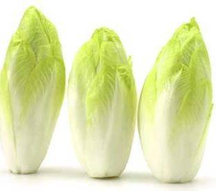 Endive