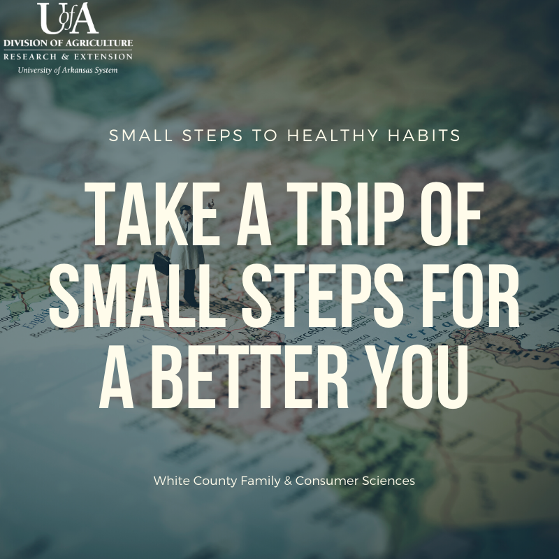 Take a Trip of Small Steps for a Better You Take a Trip of Small Steps for a Better You