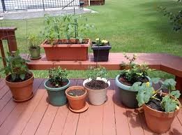 containers with plants on deck