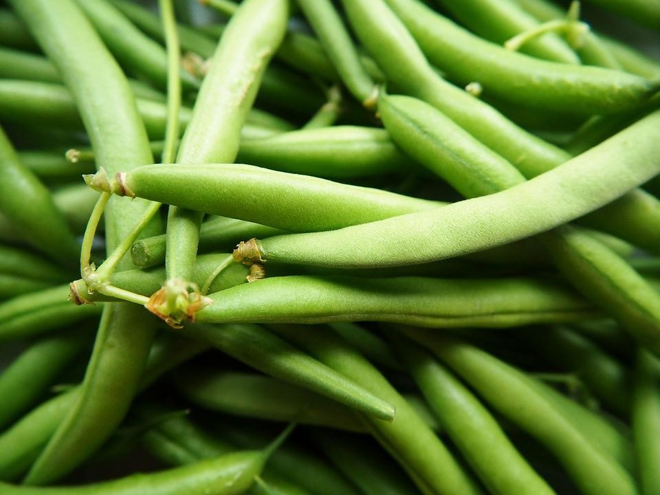 close of up green beans