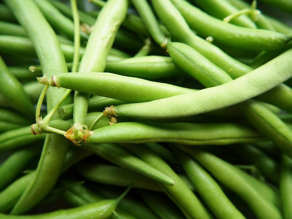 green beans close of up green beans