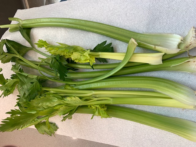 celery