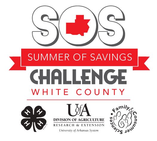 graphic of SOS Challenge