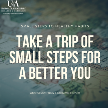 Take a Trip of Small Steps for a Better You