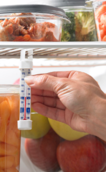 thermometer in fridge