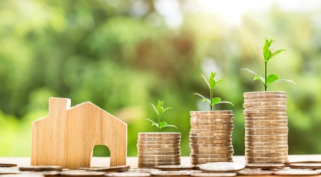 wooden house, coins growing