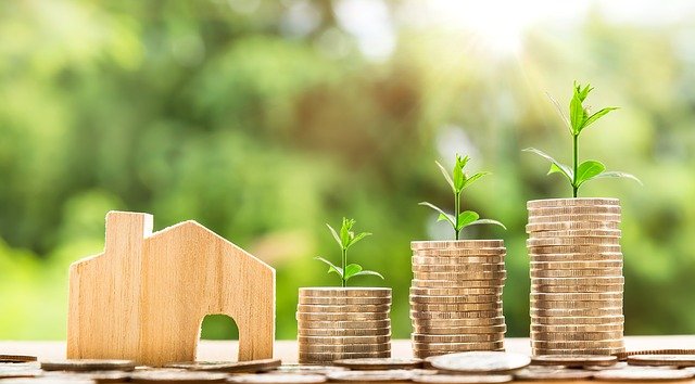 wooden house, coins growing