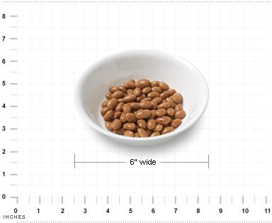 pinto beans