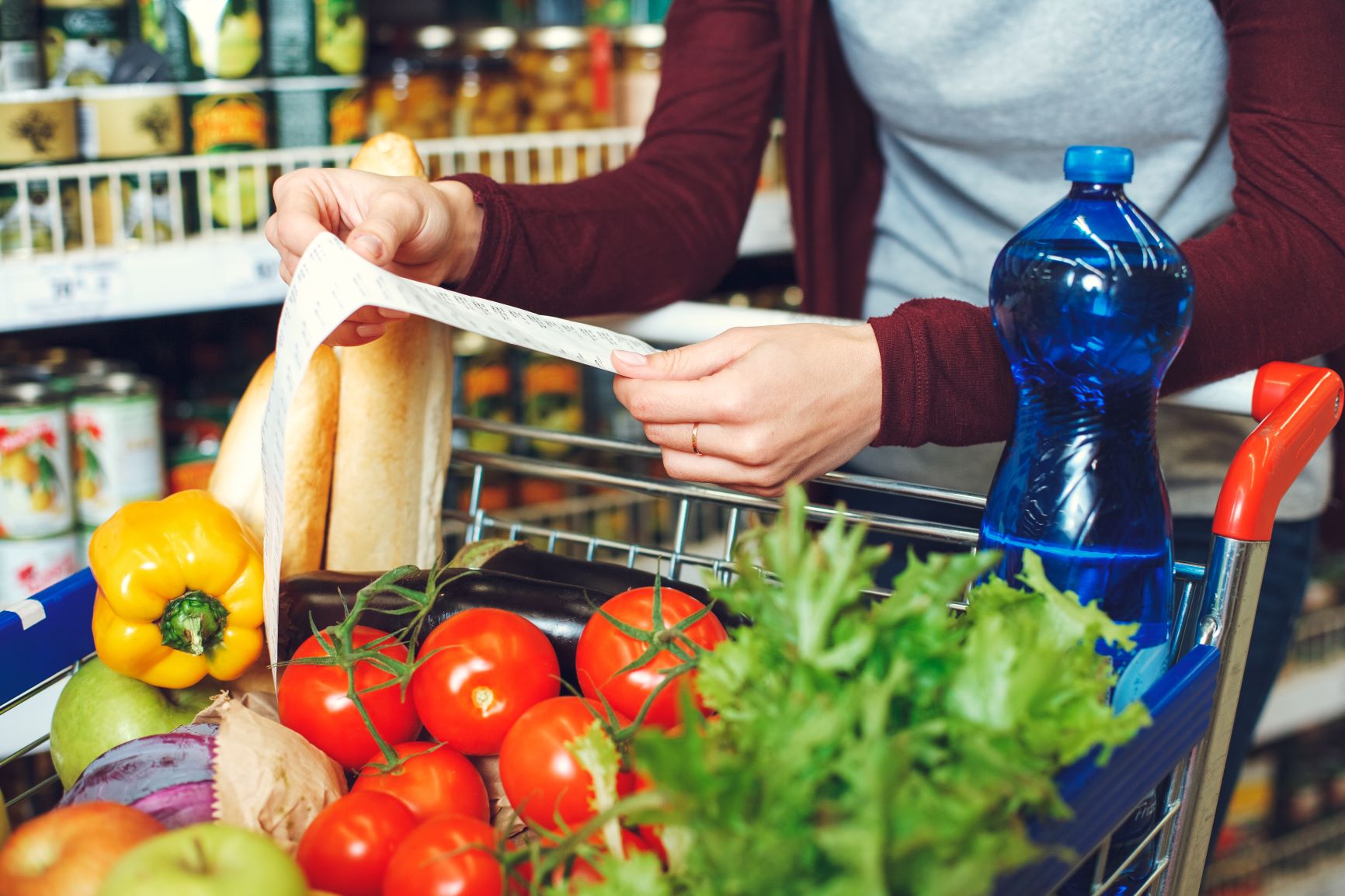grocery cart and woman with list