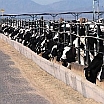 CAFO - Controlling Emissions | Air Quality | Environment & Nature | Arkansas Extension
