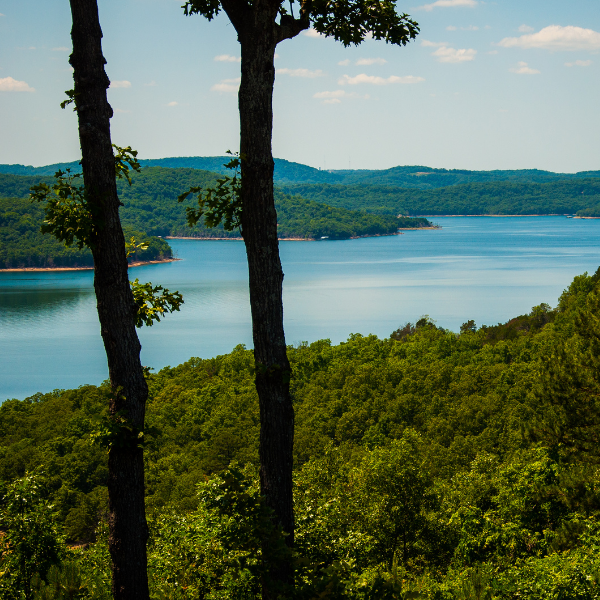 View from atop an Arkansas Ozark mountain range, surrounded by green forestry overlooking a river and valley
