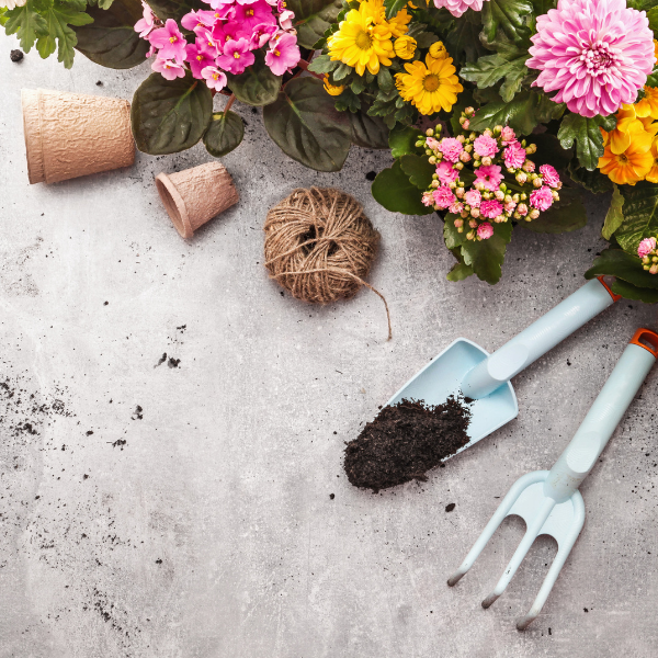 Soil, planters, and gardening tools spread on a sidewalk with bright blooms of planted flowers in the top right corner