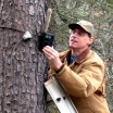 Man installing trail camera in tree