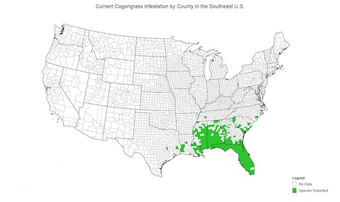 Map of the range of Cogongrass