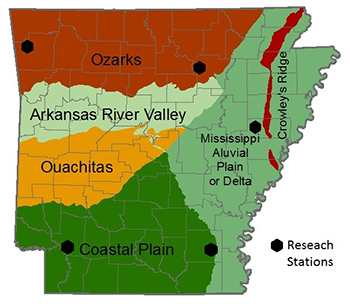 state of arkansas experiment station forest locations