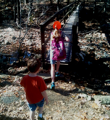 kids walking on a trail bridge in a forest