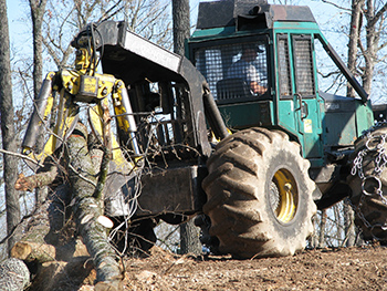 Image of a log skidder carrying hardwood tree