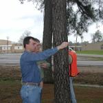 Forester using a prism in Arkansas