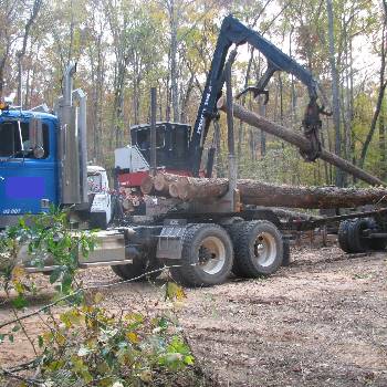 Log Truck