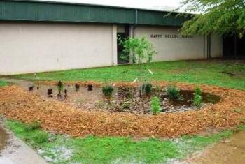 Rain garden filled with stormwater