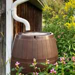 Rain Barrel