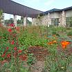 Rain garden at Butterfield Trail Elementary in Fayetteville, Arkansas