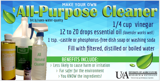 Two Natural, DIY Alternatives to Glass Cleaner