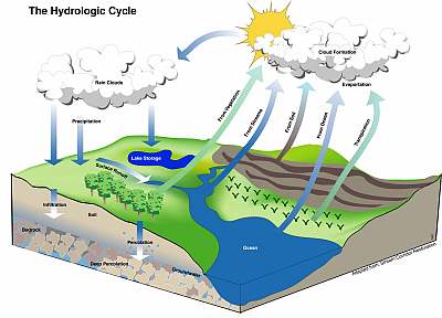 The Hydrologic Water Cycle