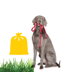 Stylized image of dog holding a leash