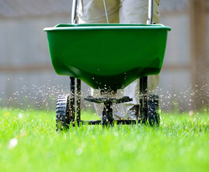 5. Use Fertilizer Sparingly