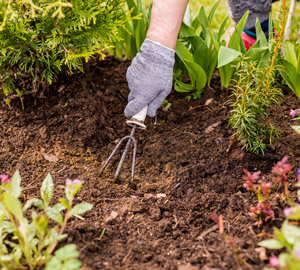 9. Use Integrated Pest Management
