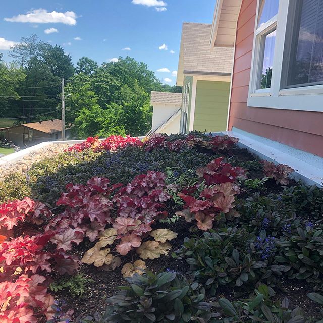 Green roof