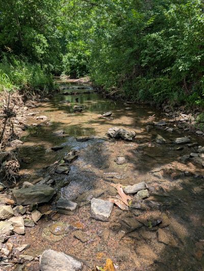 creek
