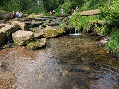 image of creek with kids in background