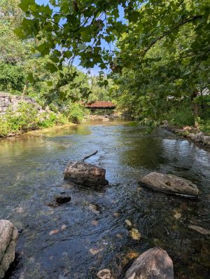 Creek view with bridge