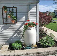 rain barrel