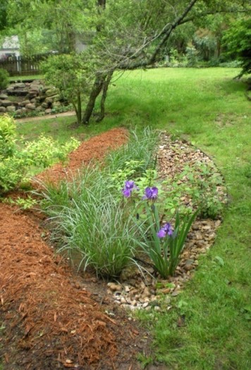 Rain garden