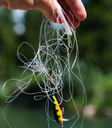 tangled fishing line