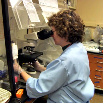 Laboratory worker looking through a microscope at a wildlife disease