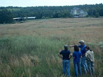 Native grasses at a farm