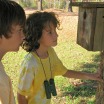 4-H Wildlife Habitat Education Program 