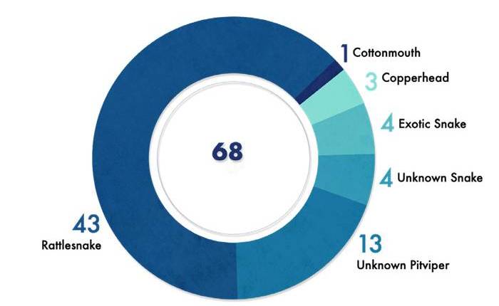 Number of fatalities caused by venomous snakes in the U.S. in 1983-2018. Exotic snake - 4. Unknown snake - 4. Unknown pit viper -13. Copperhead -3. Rattlesnake - 43. Cottonmouth -1.